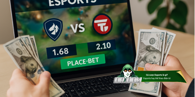 Cá cược Esports là gì mà hot thế?